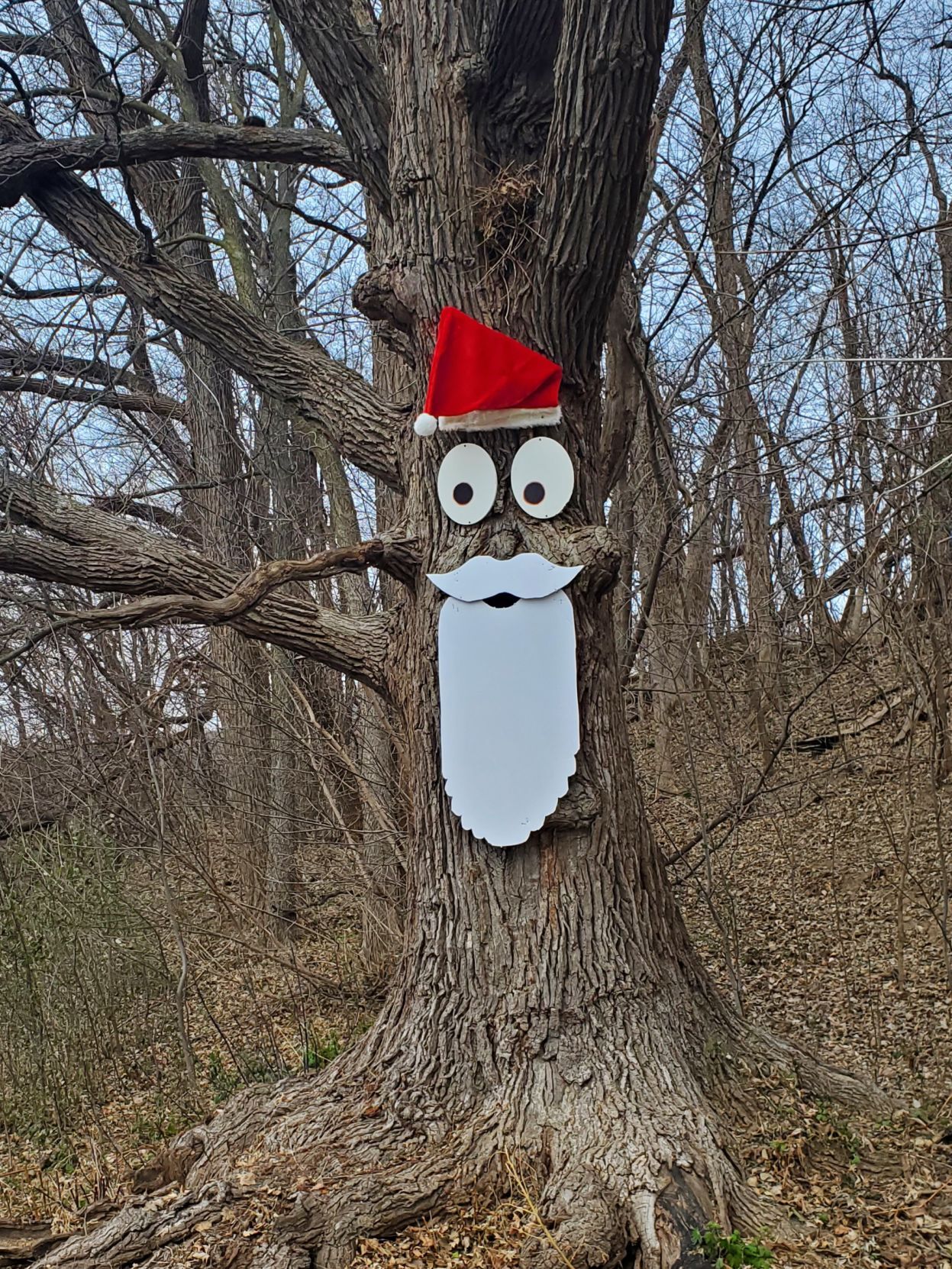 Jolly Old tree Santa